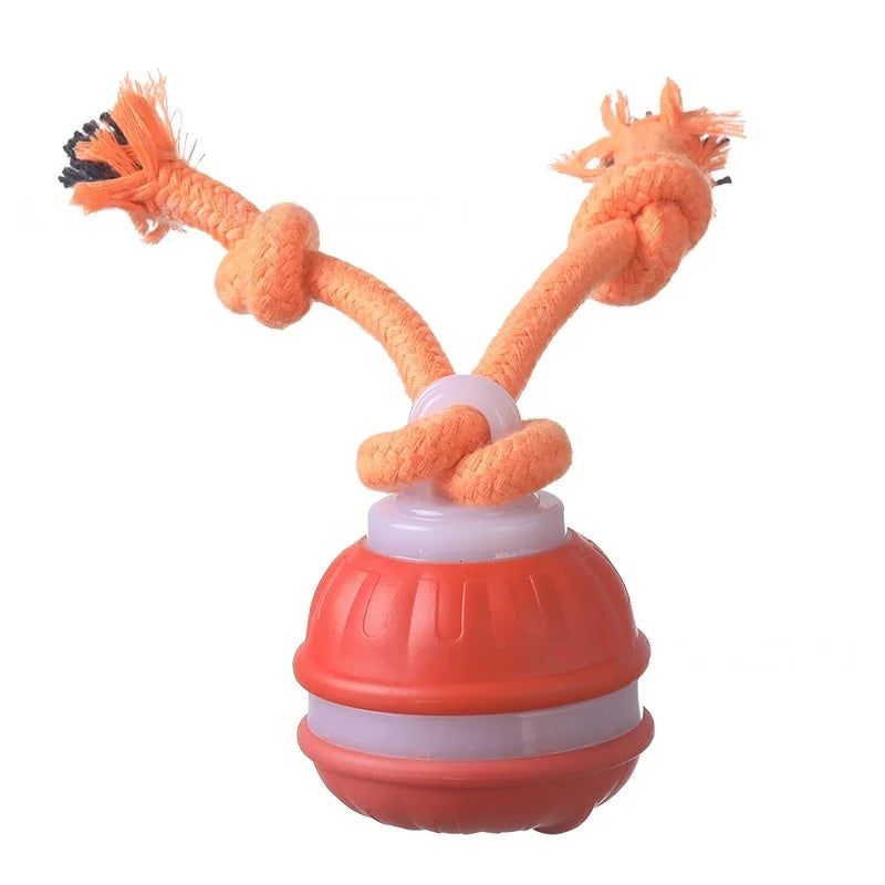 Bonny Paws™ Play Time – Toy Ball