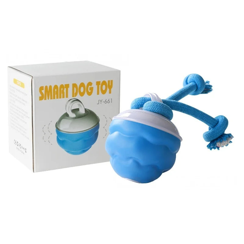 Bonny Paws™ Play Time – Toy Ball